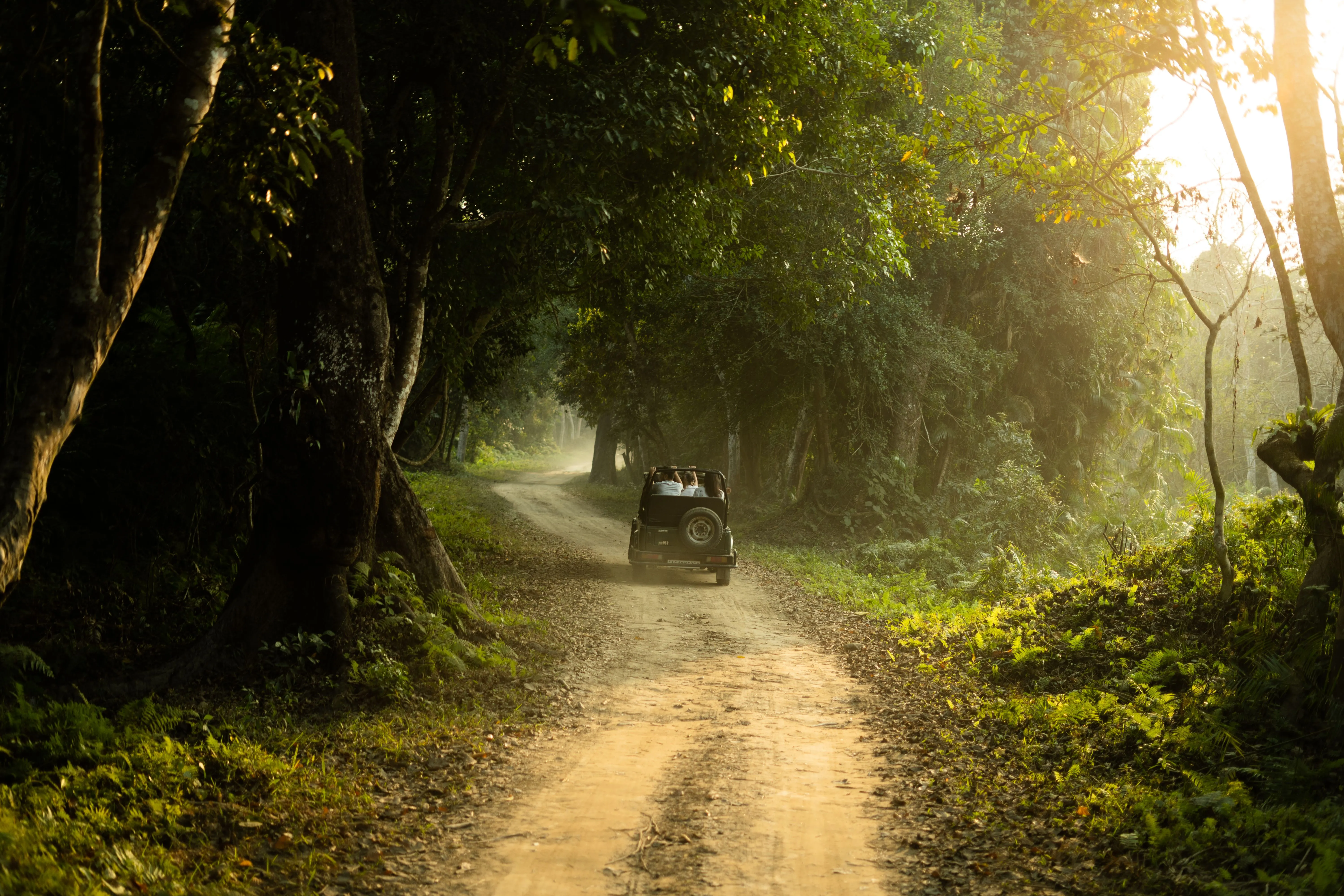 Amazing Dooars (Gorumara & Jaldapara 4 Nights / 5 Days)